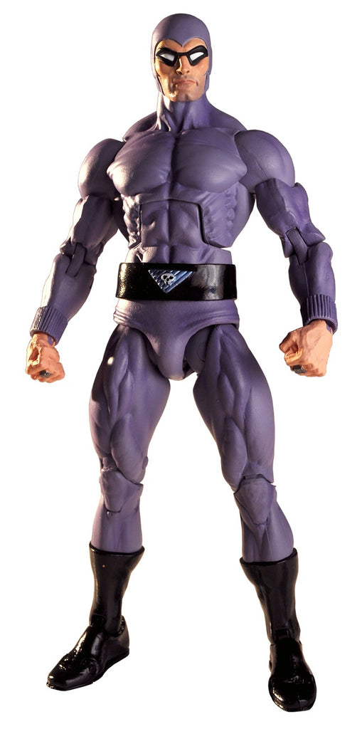 NECA Defenders of the Earth - The Phantom - 7" Scale Action Figure 634482426029