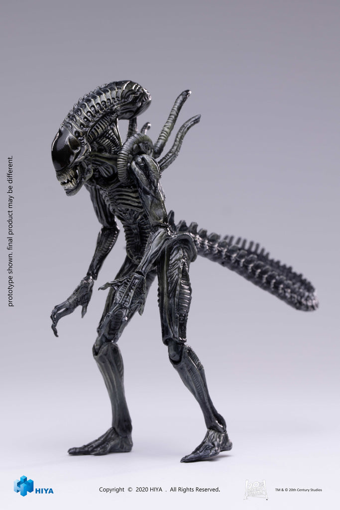 HIYA AVPR Xeno Warrior PX 1/18 Scale Figure