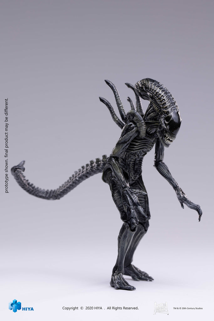 HIYA AVPR Xeno Warrior PX 1/18 Scale Figure